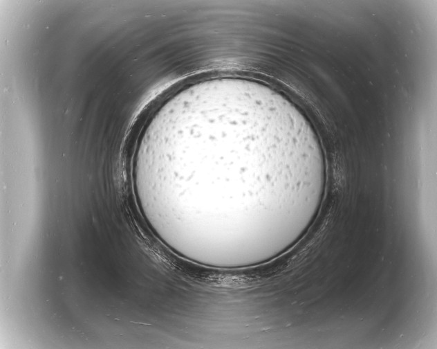 X0000103971070200810031220