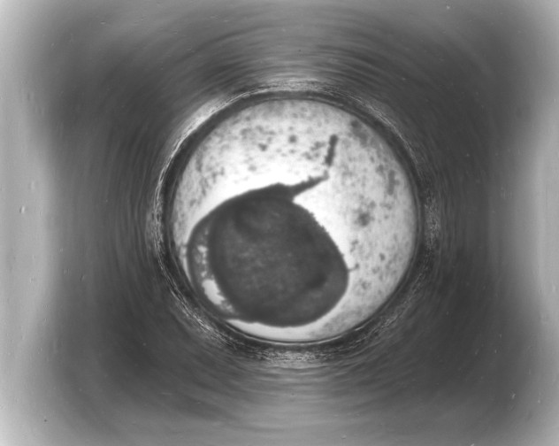 X0000103971071200810031220