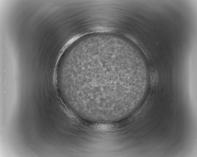 X0000103971074200810031220