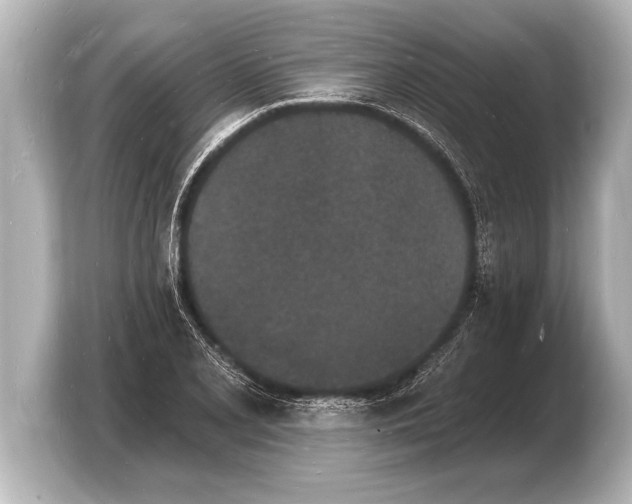 X0000103971077200810031220