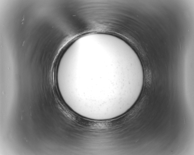 X0000103971078200810031220