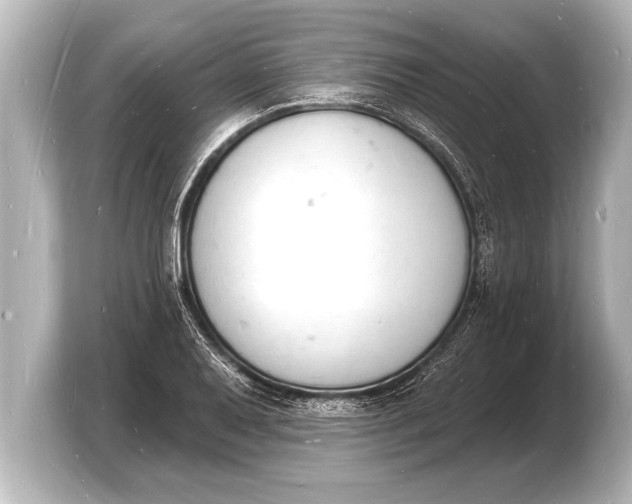 X0000103971079200810031219