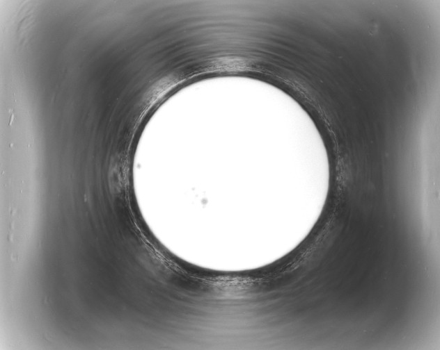 X0000103971081200810031219