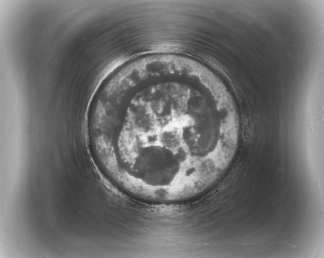 X0000103971087200810031219