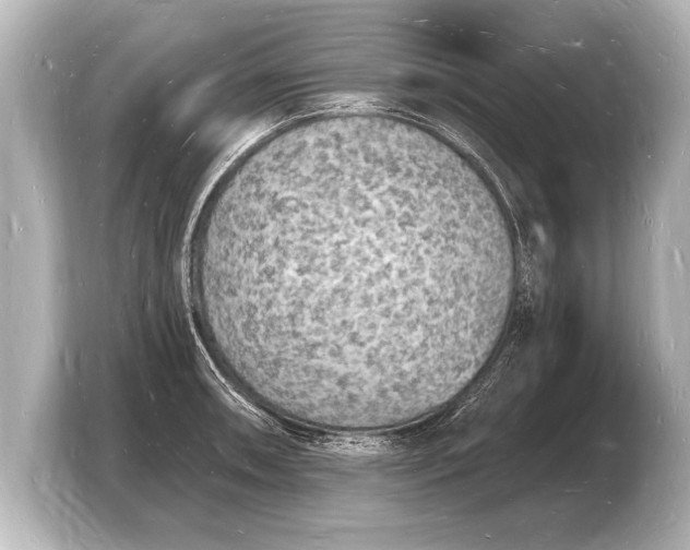 X0000103971090200810031219