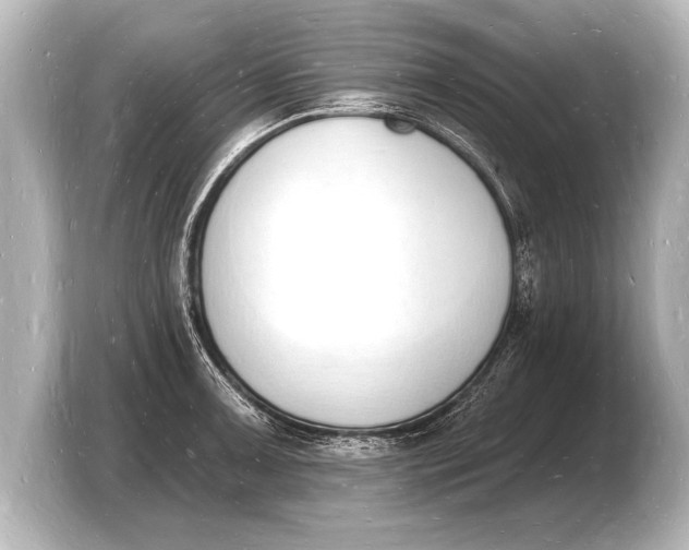 X0000103971091200810031219