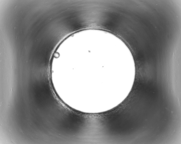 X0000103971092200810031219