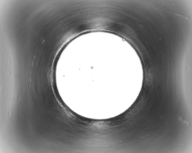 X0000103971093200810031219