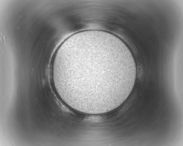 X0000103971094200810031219