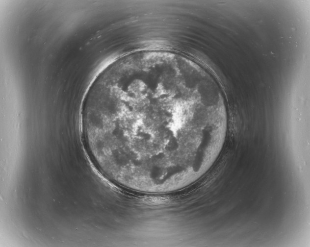 X0000103971095200810031219