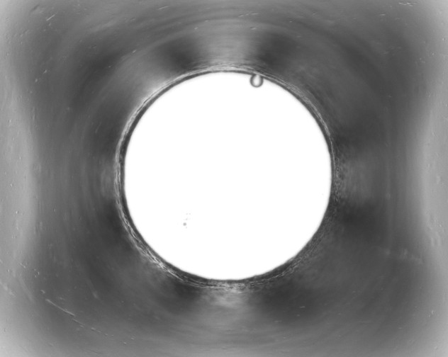 X0000103971096200810031219