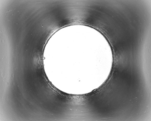 X0000103971097200810031219