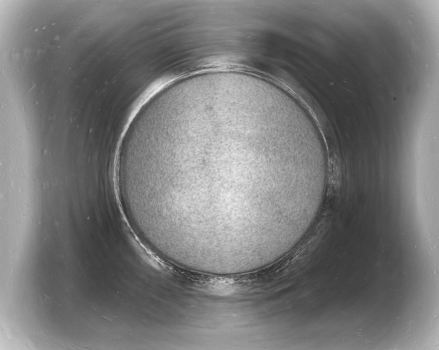 X0000103971098200810031219