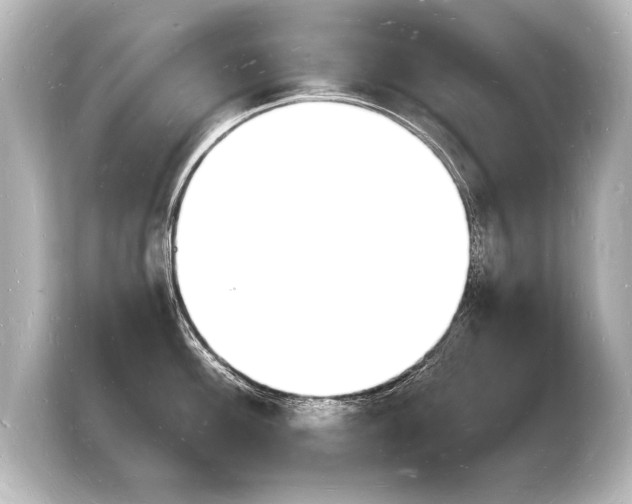 X0000103971100200810031219