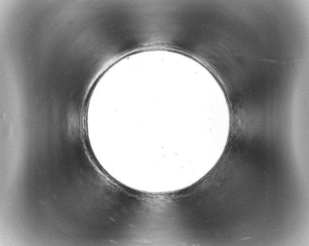 X0000103971101200810031219