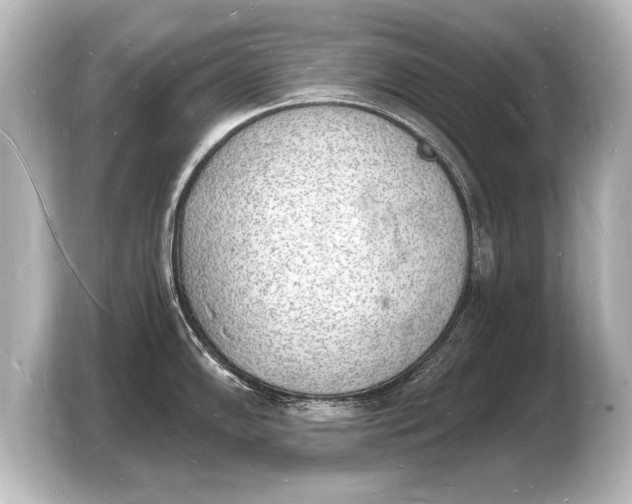 X0000103971102200810031219