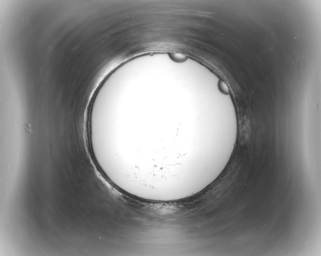 X0000103971103200810031219