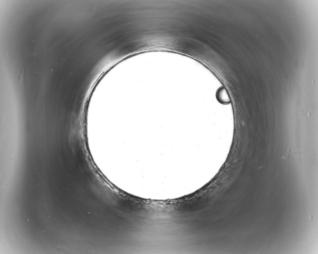 X0000103971104200810031219