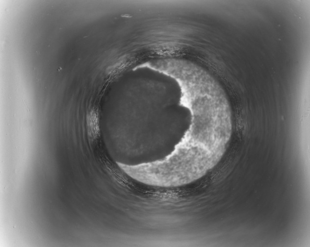 X0000103971106200810031219