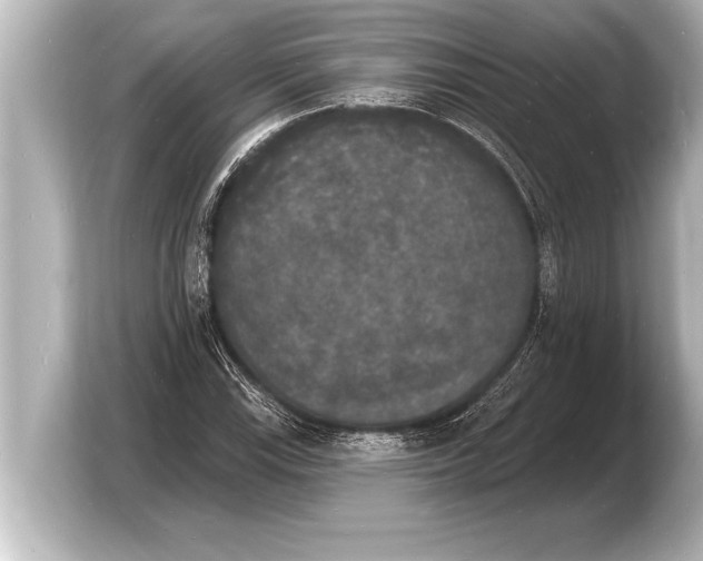 X0000103971115200810031219