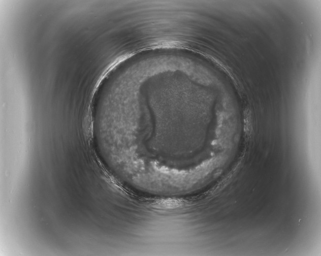 X0000103971117200810031219