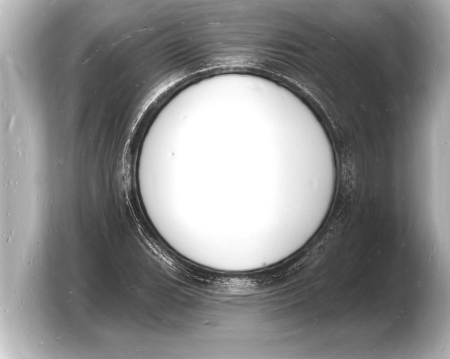 X0000103971119200810031219