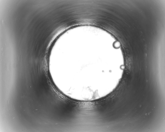 X0000103971120200810031219