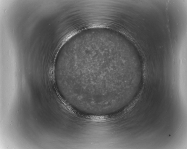 X0000103971121200810031219