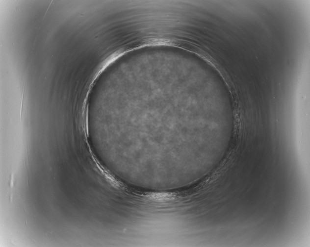 X0000103971127200810031219