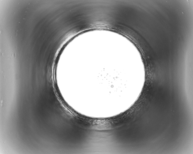 X0000103971128200810031219