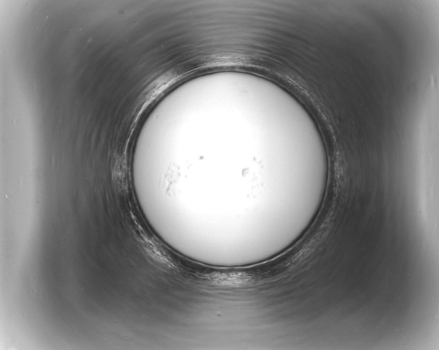 X0000103971129200810031219