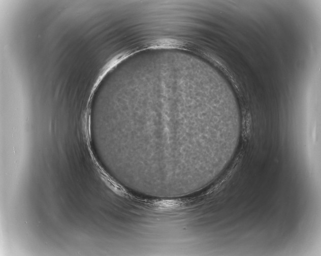 X0000103971130200810031219