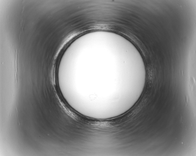 X0000103971131200810031219