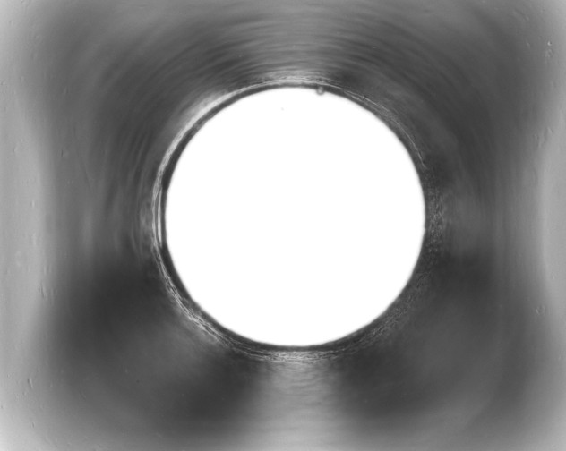 X0000103971132200810031219