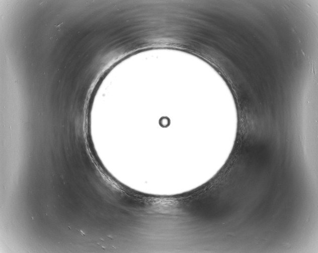 X0000103971136200810031219