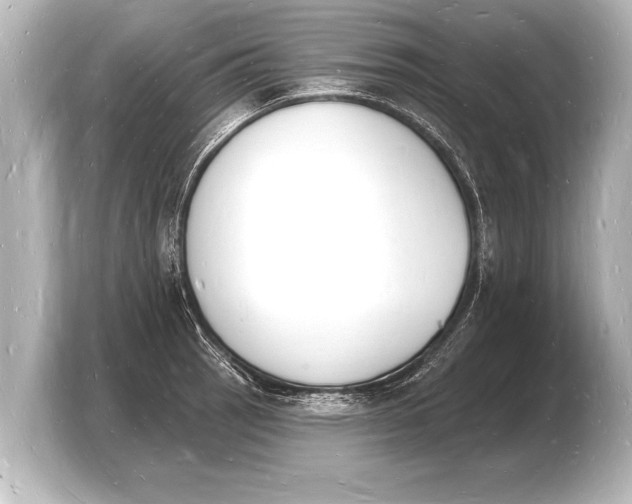 X0000103971137200810031219