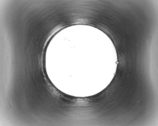 X0000103971138200810031219