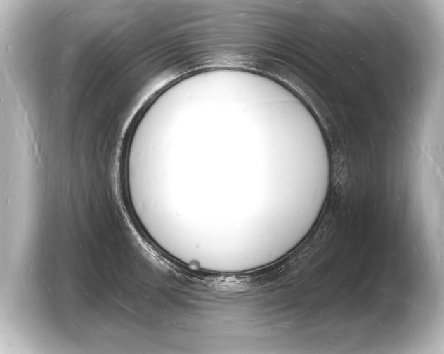 X0000103971139200810031219