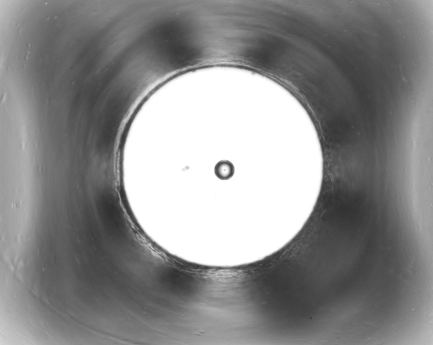 X0000103971140200810031219