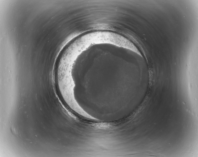 X0000103971141200810031219