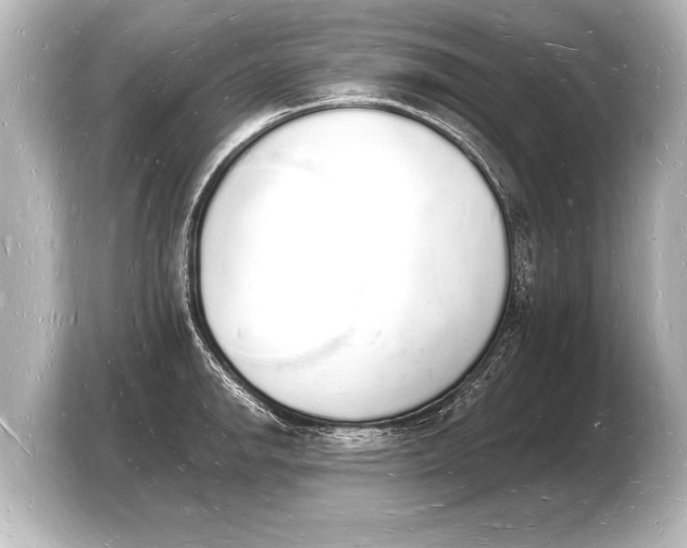 X0000103971142200810031219