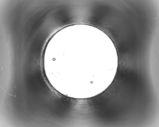 X0000103971144200810031219