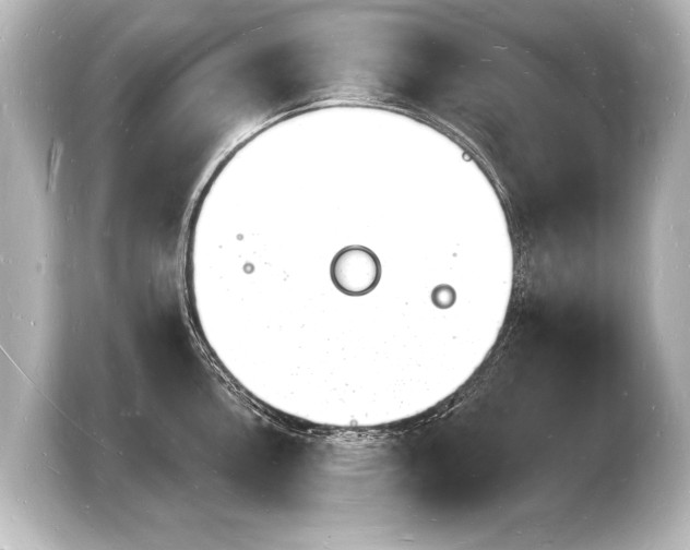 X0000103971146200810031219