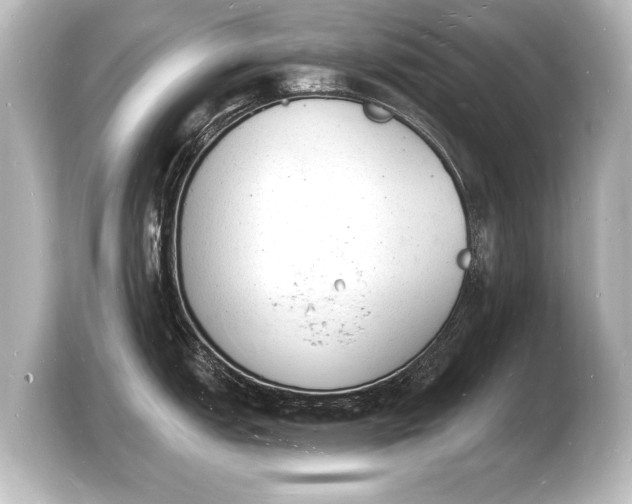 X0000103971151200810031219