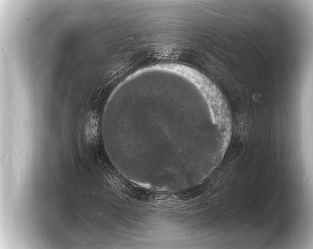 X0000103971154200810031219