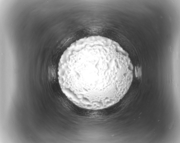 X0000103971155200810031219