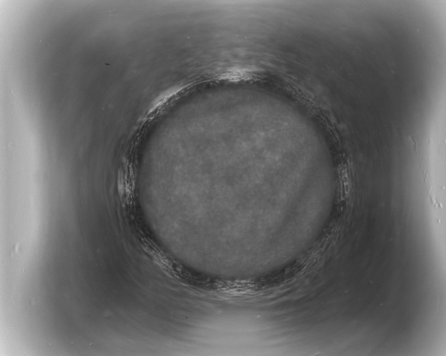 X0000103971158200810031218