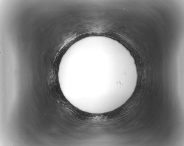 X0000103971160200810031218