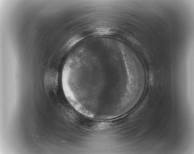 X0000103971161200810031218