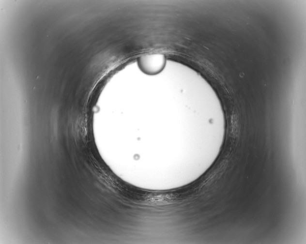 X0000103971165200810031218